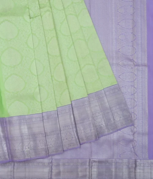 Parrot Green Kanchipuram Tissue Silk Saree