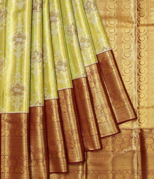 Parrot Green Kanchipuram Tissue Silk Saree