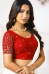 Stretchable Blouse – stretchy saree blouse crop top crop blouse choli | Ready-to-Wear Saree Blouse L XL XXL – Suganda 3
