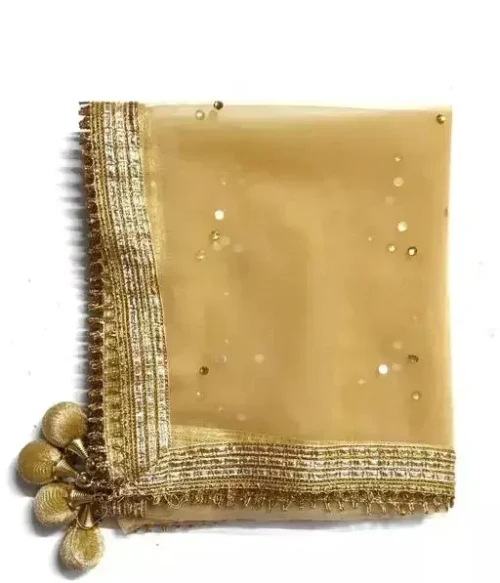 Women Zari Woven Dupatta